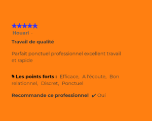 Professionnel en tant qu'artisan et coach.